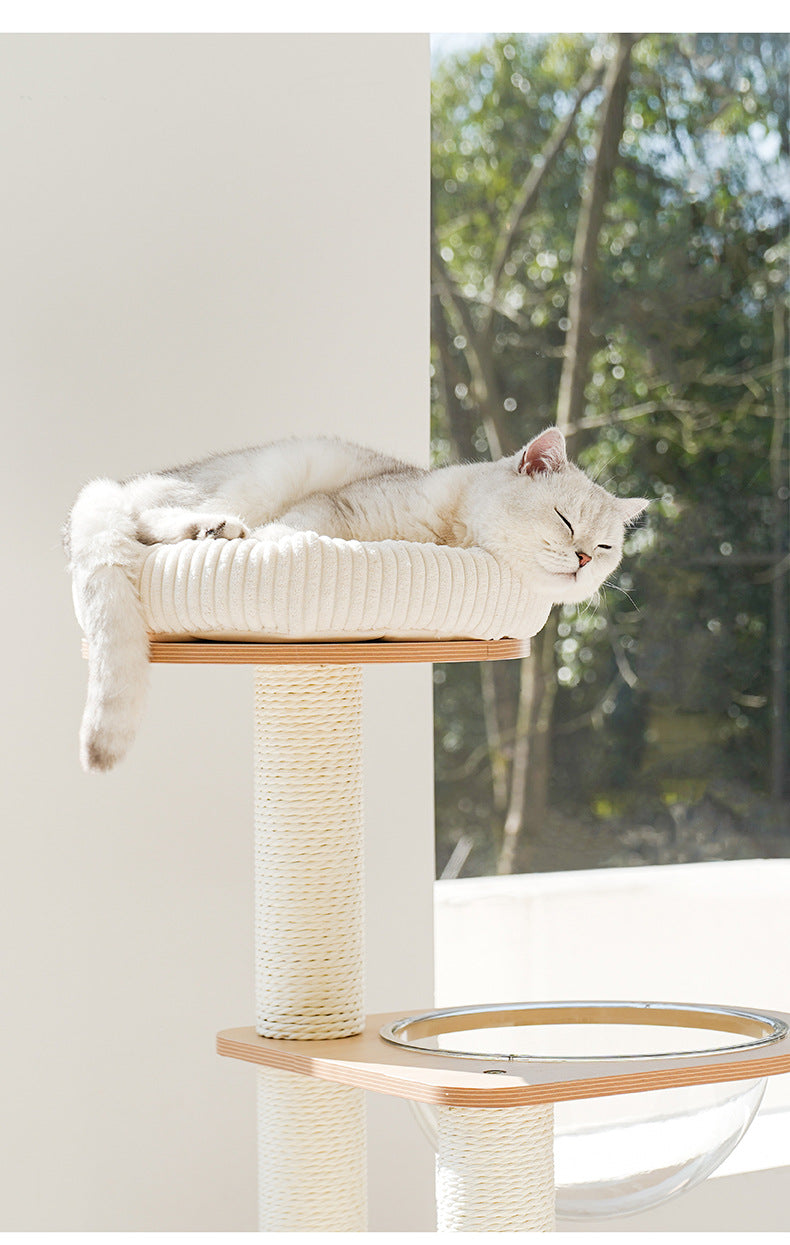 Cat  Scratcher  Cat Climbing Frame Jump Platform Space Capsule Cat Litter