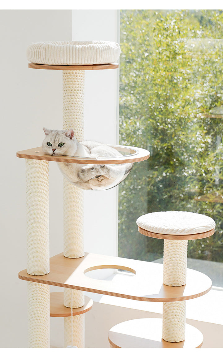 Cat  Scratcher  Cat Climbing Frame Jump Platform Space Capsule Cat Litter
