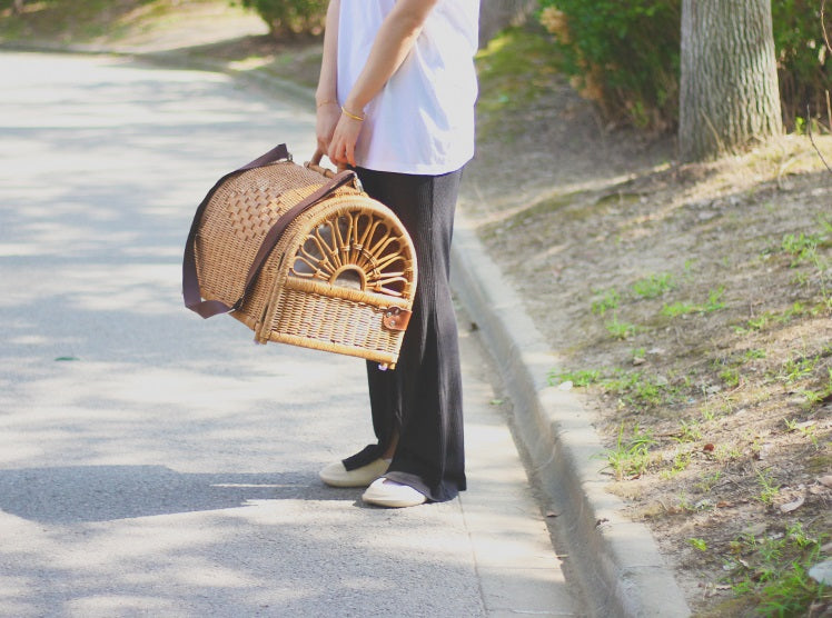 Handmade Rattan Cat Carrier Basket Cat Air Case Puppy Bag