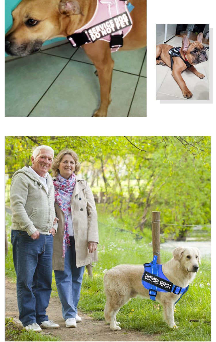 Dog chest strap leash Pet vest explosion-proof impact leash