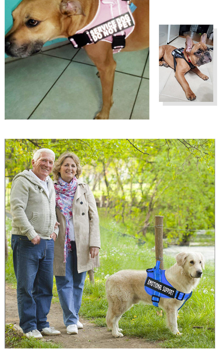 Dog chest strap leash Pet vest explosion-proof impact leash