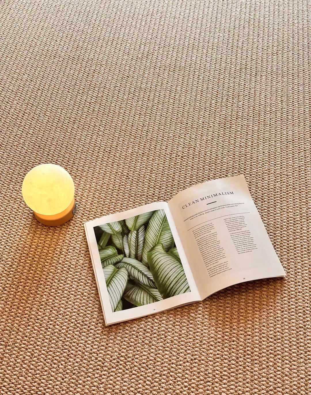 Rug (Suitable for a home with cats)