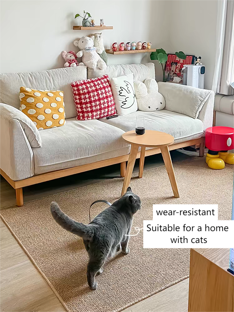 Rug (Suitable for a home with cats)