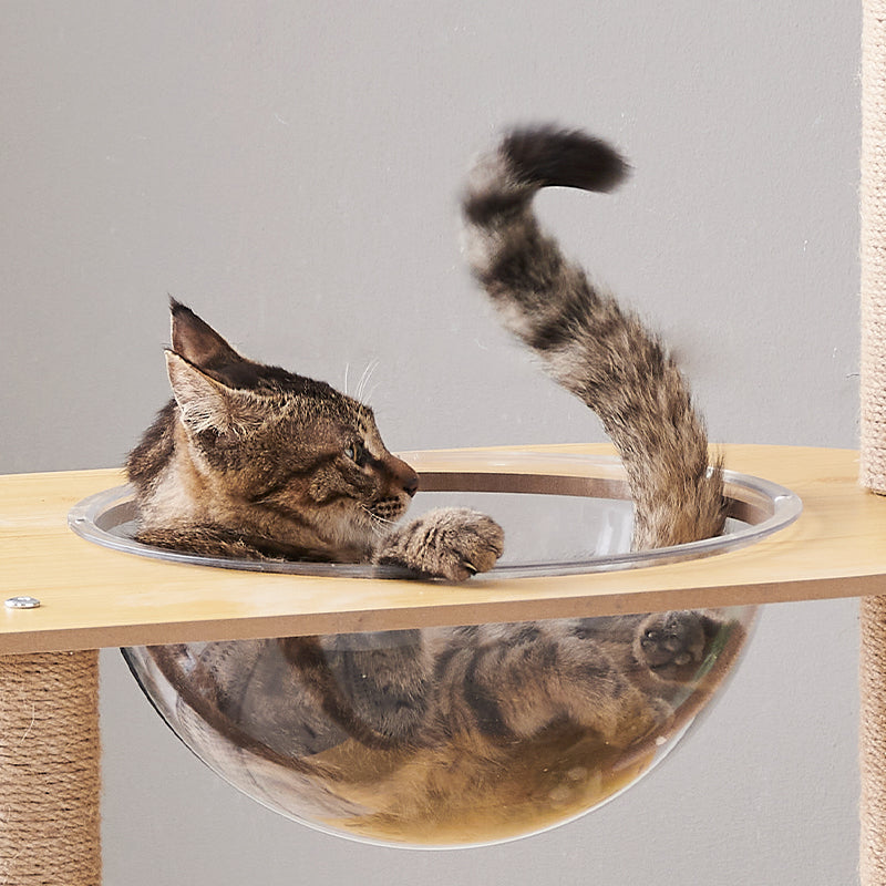 Cat Cando Cat scratching board Cat Tree house