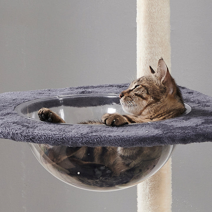 Cat Tree Cat Climbing Frame