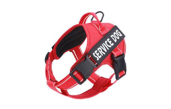 Dog chest strap leash Pet vest explosion-proof impact leash