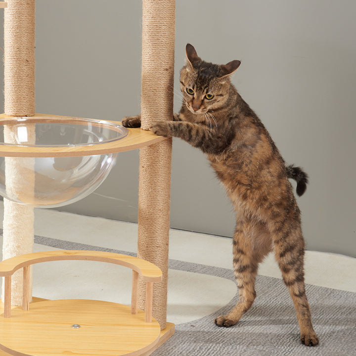 Cat Tree Cat Climbing Frame