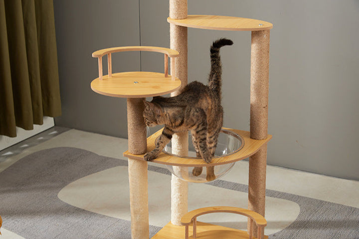 Cat Tree Cat Climbing Frame