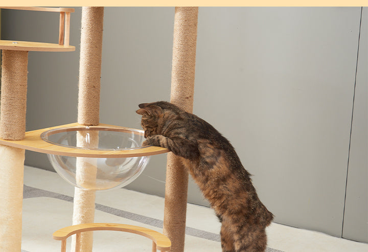 Cat Tree Cat Climbing Frame