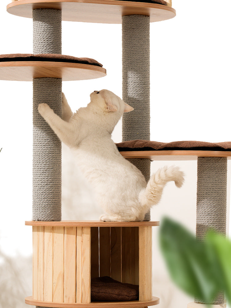 Cat Scratching frame space capsule Cat climbing rack with nest