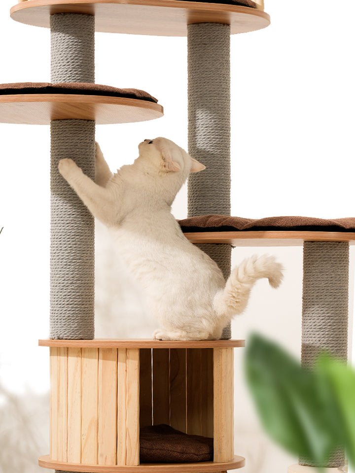 Cat Scratching frame space capsule Cat climbing rack with nest