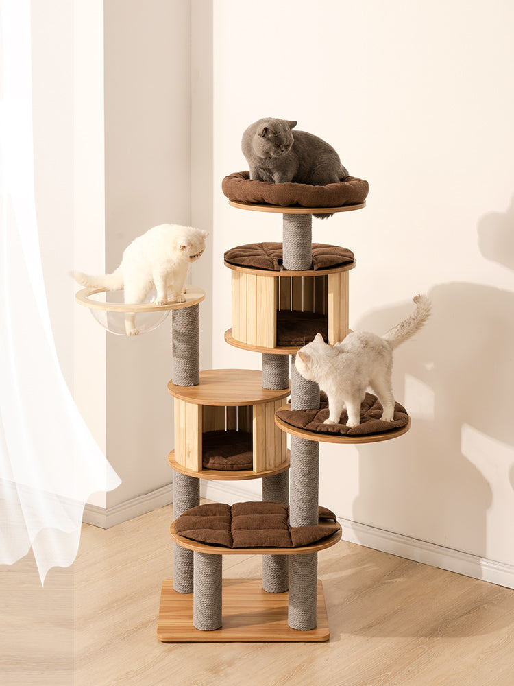 Cat Scratching frame space capsule Cat climbing rack with nest