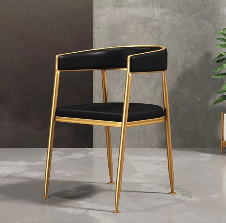 Modern Dining Chair