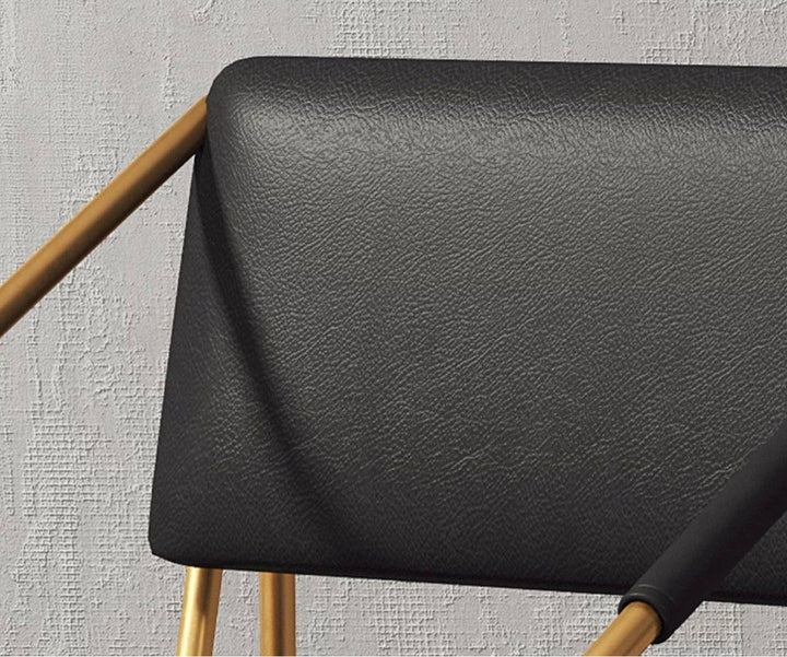 Modern Minimalist Dining Chairs (Set of 2)