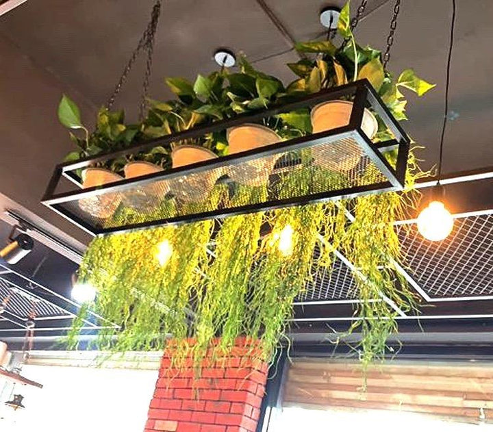 Black Steel Ceiling Hanging Planter