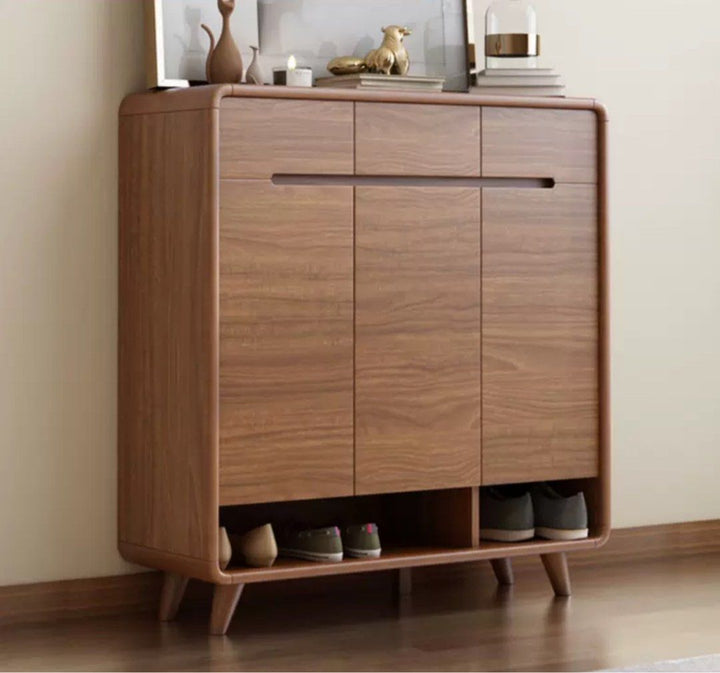 Modern Walnut Shoe Cabinet