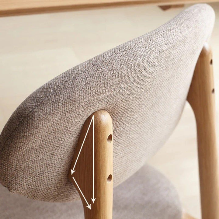 Modern Dining Chair (Set of 2)