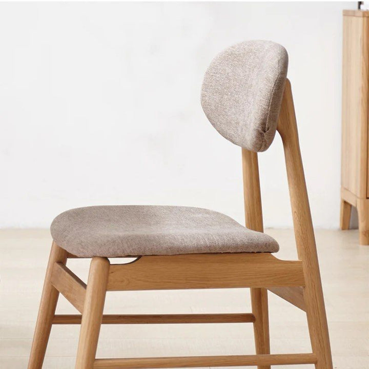 Modern Dining Chair (Set of 2)