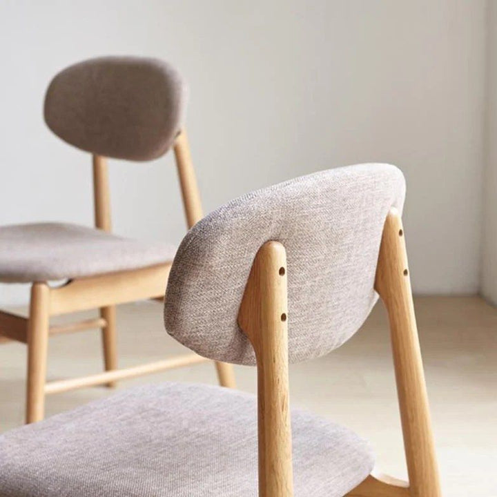 Modern Dining Chair (Set of 2)