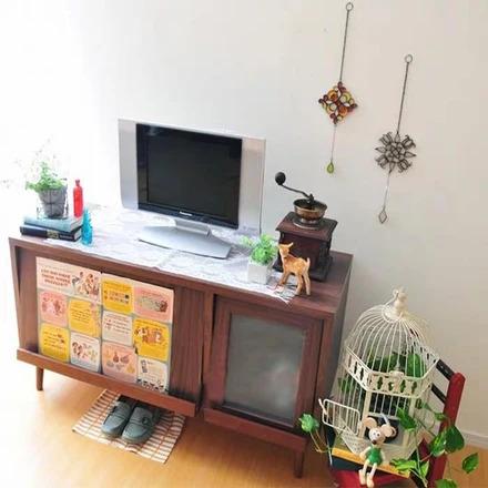 Rustic TV Console Cabinet
