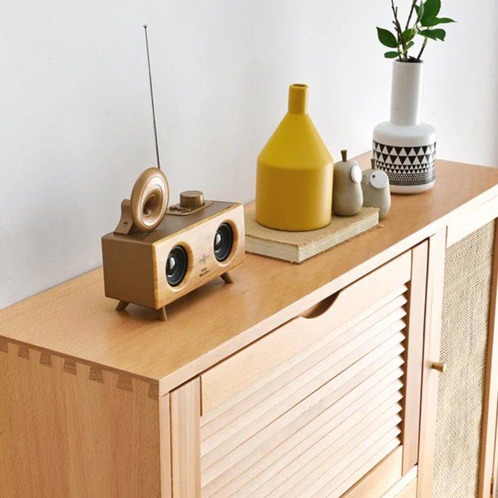 Designer Shoe Storage Cabinet