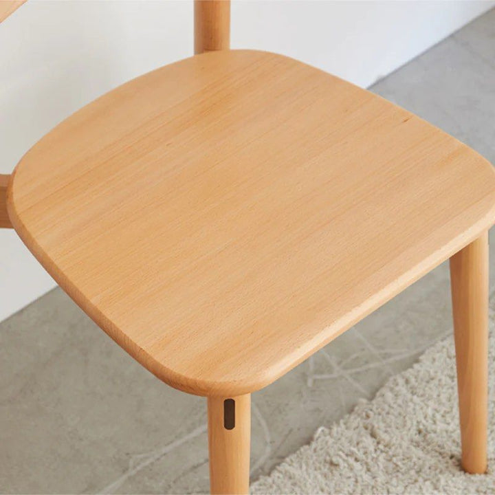 Modern Dining Chair (set of 2)