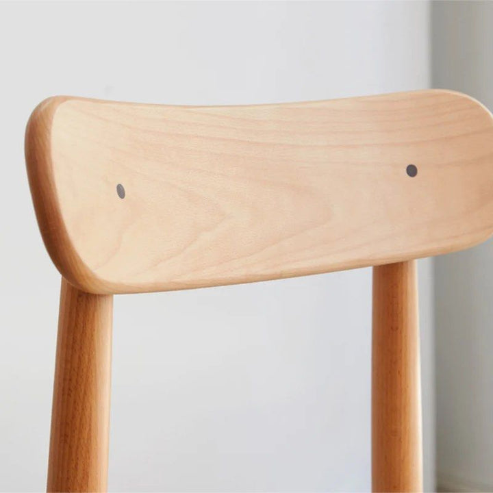 Modern Dining Chair (set of 2)