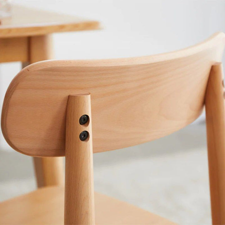 Modern Dining Chair (set of 2)