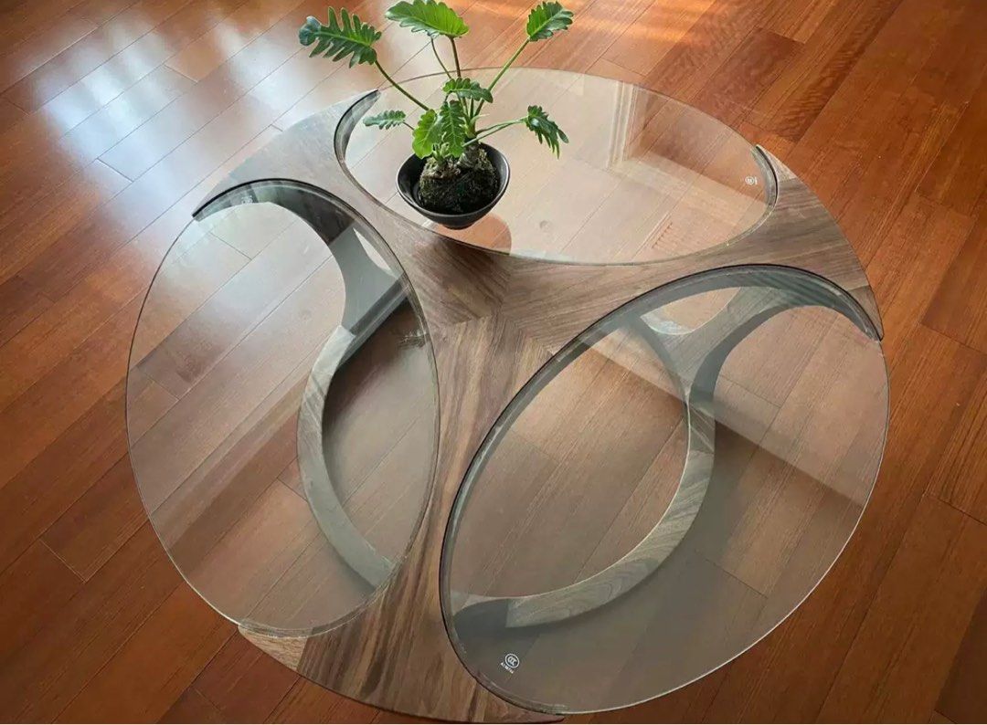 Japandi Coffee Table