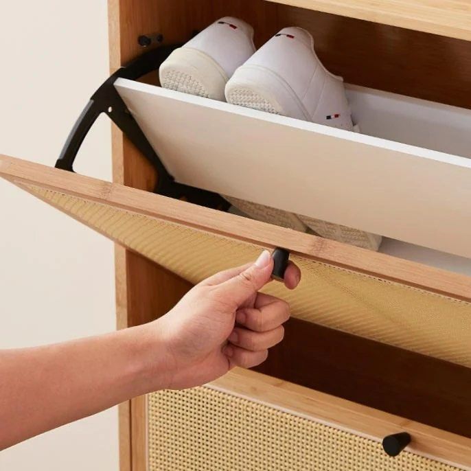 Shoe Storage Cabinet