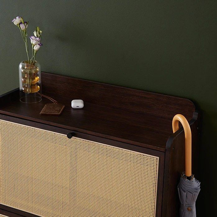 Shoe Storage Cabinet