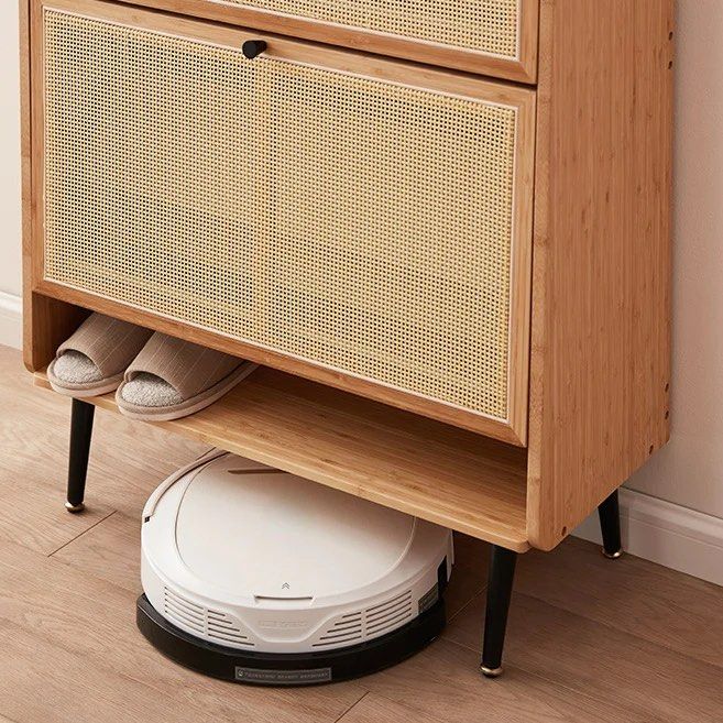 Shoe Storage Cabinet