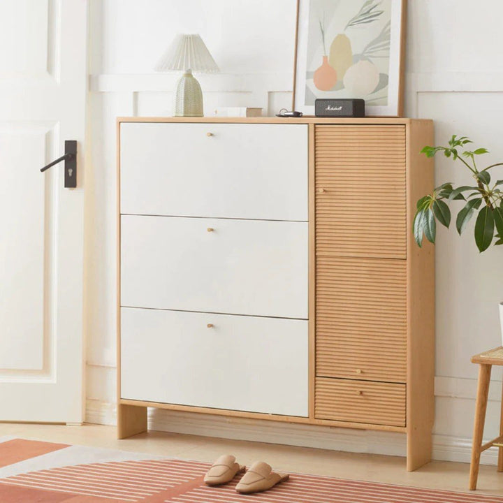 Shoe Storage Cabinet