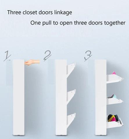 Modern and Sleek Shoe Cabinet