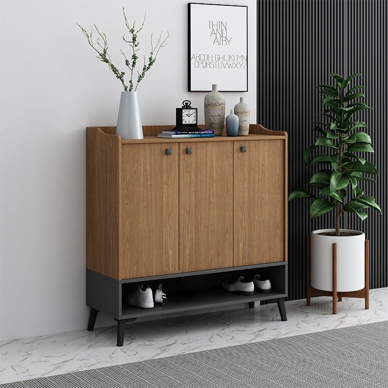Modern Shoe Cabinet