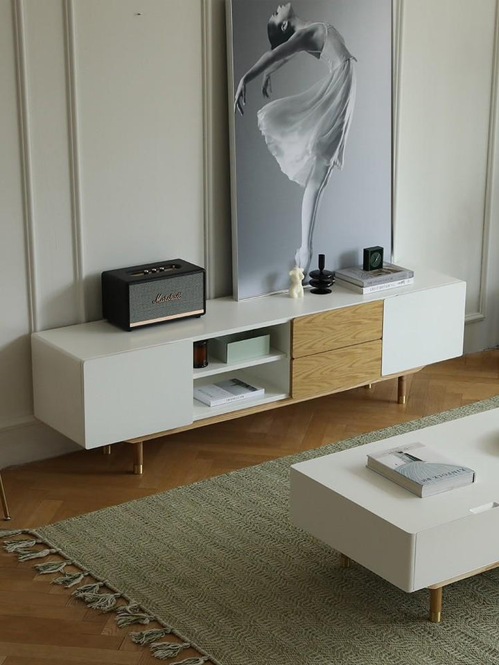 Modern TV Stand