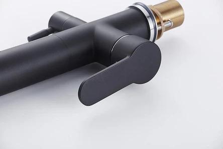 Modern Black Double Tap Faucet