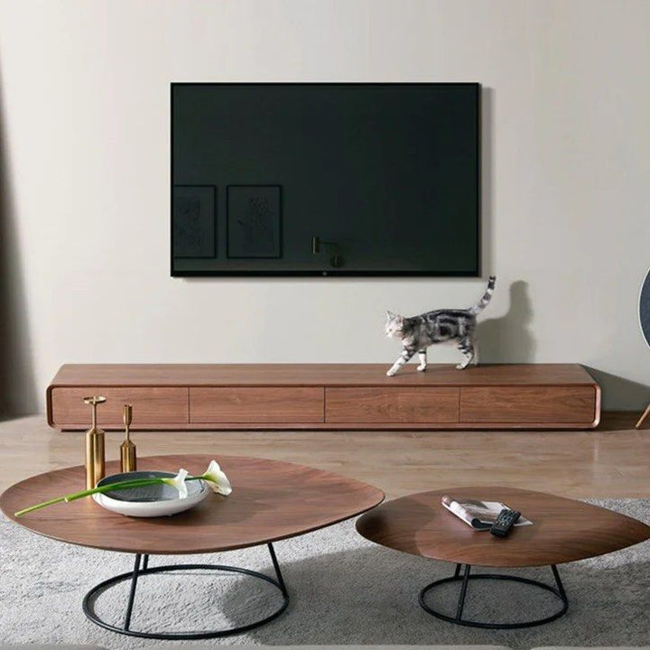 Wooden TV Stand