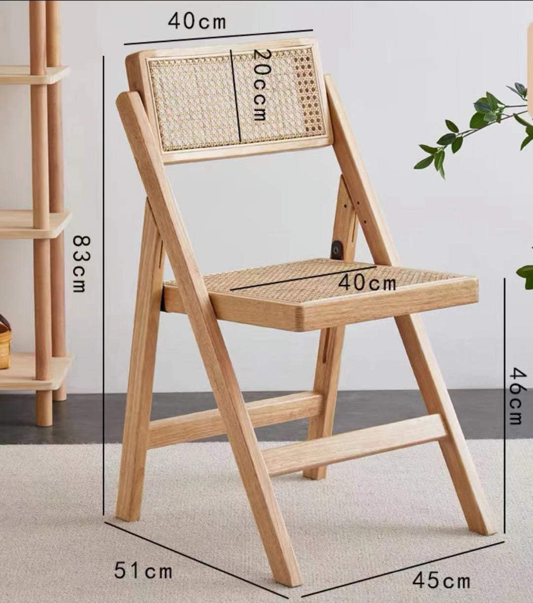 Cane Mesh Folding Chair