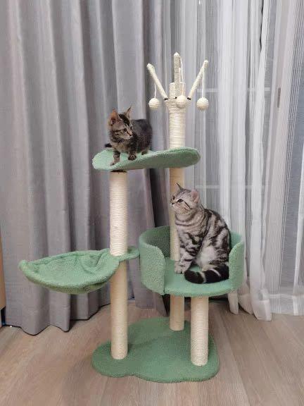 Green Cat Tree Condo Multi Level Play Toy