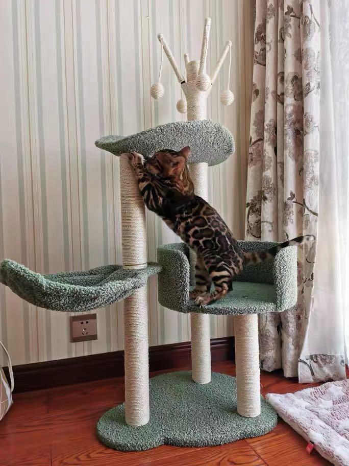 Green Cat Tree Condo Multi Level Play Toy