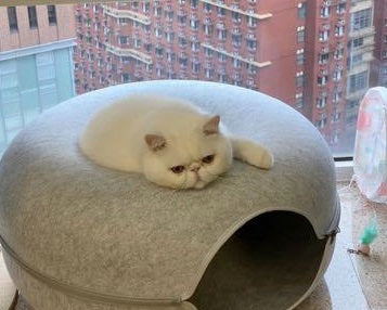 Grey Felt Cat Tunnel Circular Cave