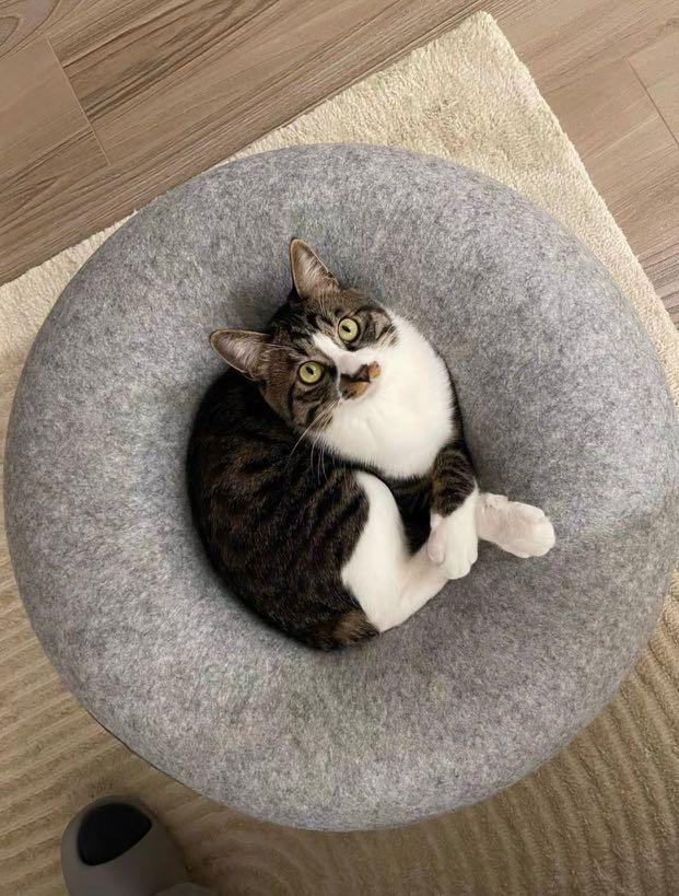 Grey Felt Cat Tunnel Circular Cave