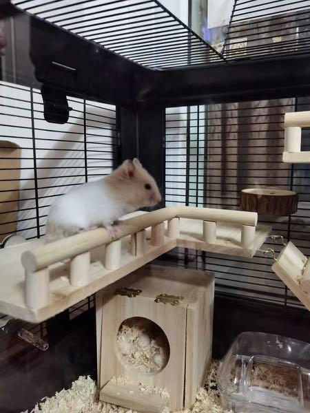 Matte Black Full Accessories Hamster Cage Home