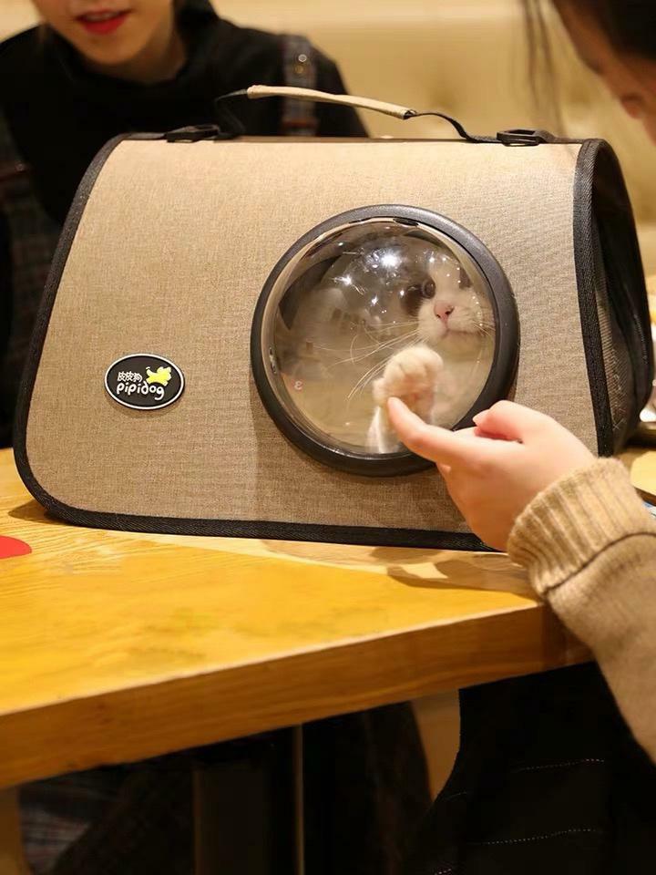 Mocha Brown Pet Shoulder Carrier Rabbit Guinea Pig