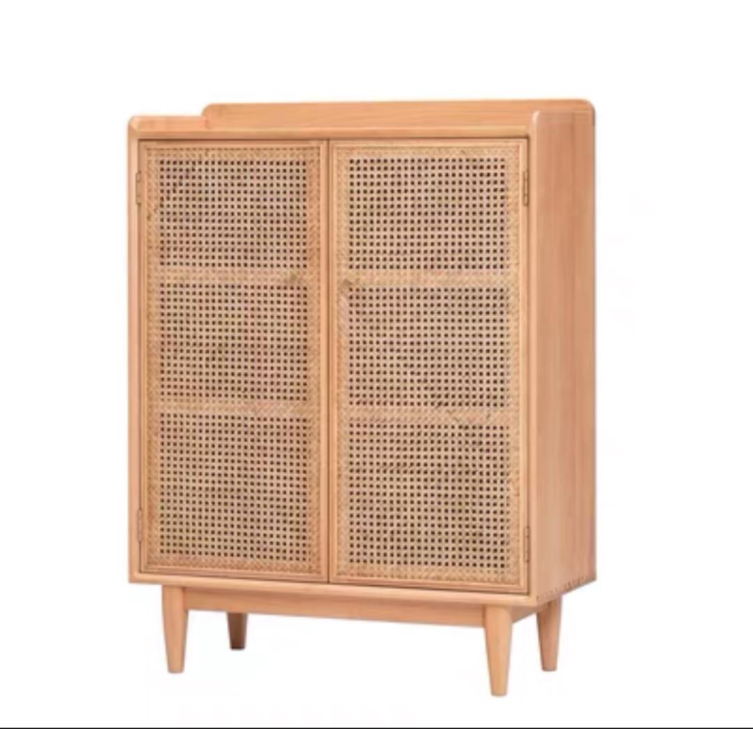 Modern and Contemporary Mesh Shoe Storage Cabinet