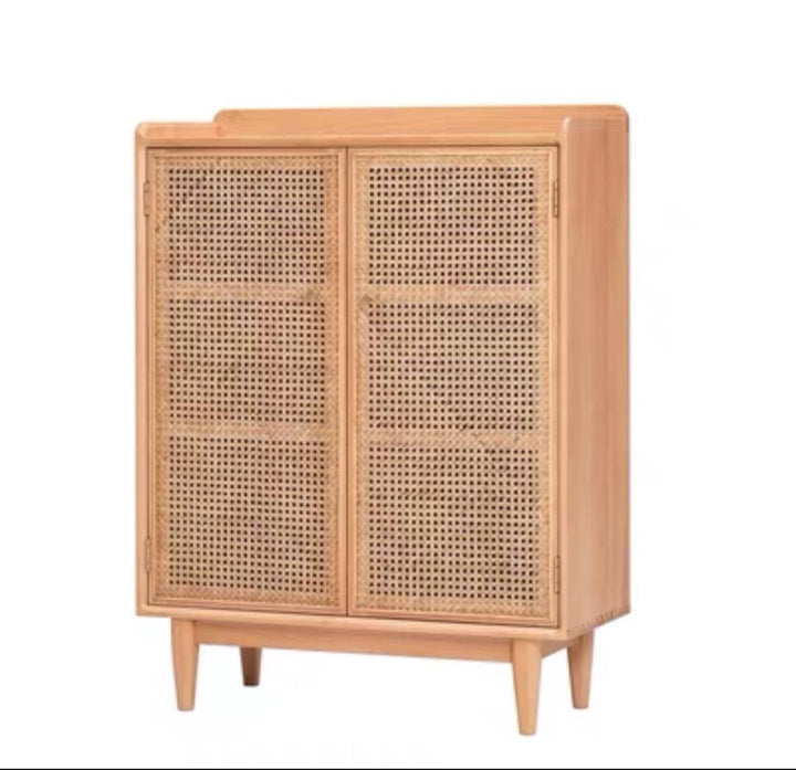 Modern and Contemporary Mesh Shoe Storage Cabinet