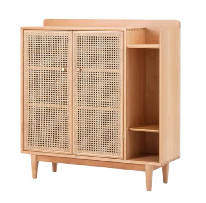 Modern and Contemporary Mesh Shoe Storage Cabinet