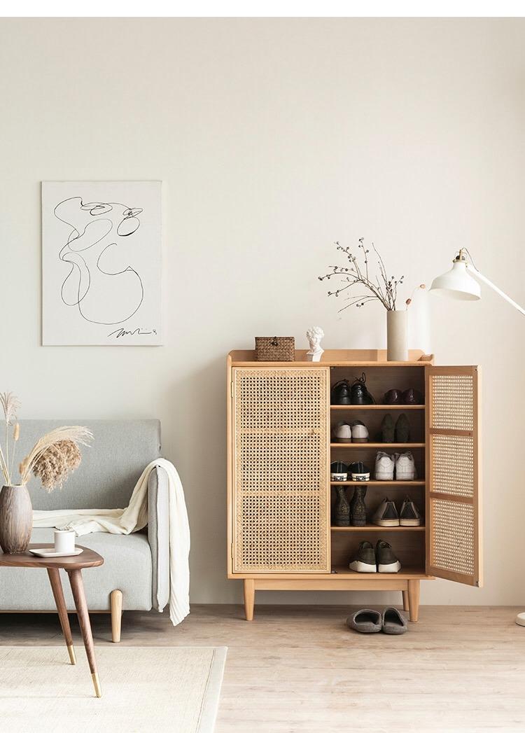 Modern and Contemporary Mesh Shoe Storage Cabinet