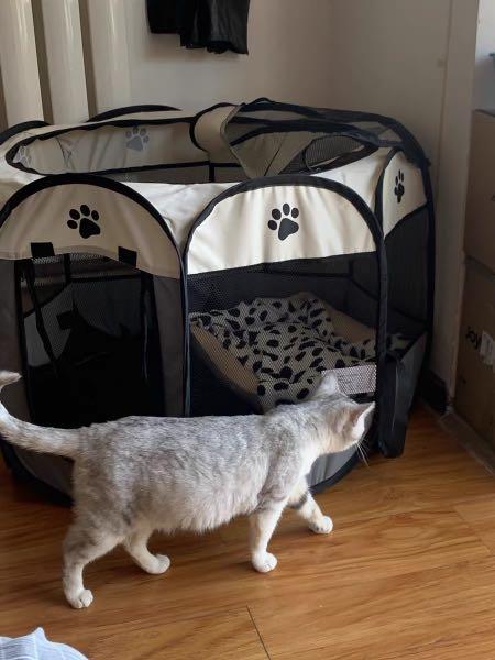 Oxford Grey Canvas Playpen Foldable Cat Tent